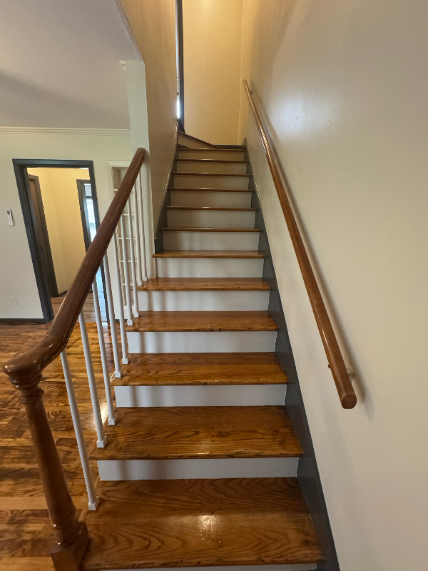 233 Shelly St #3 - Photo 7 of 14