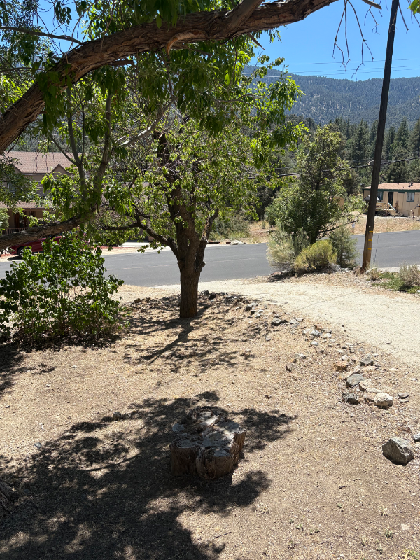 16601 Aleutian Dr - Photo 3 of 20