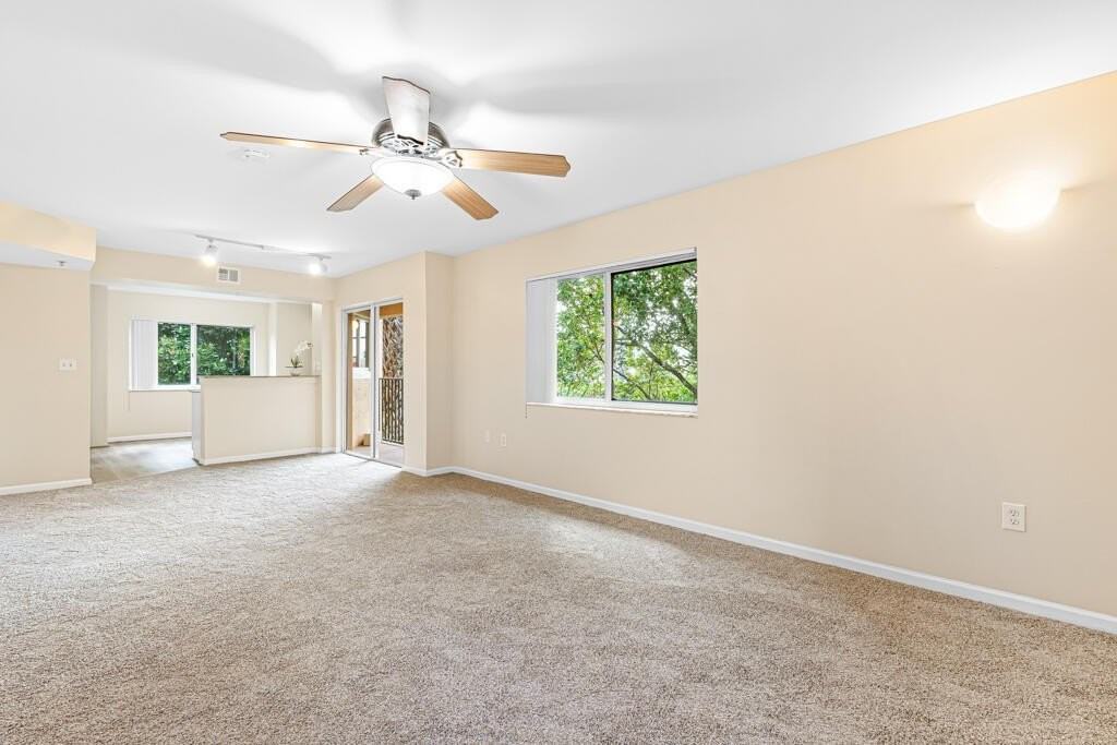 900 Scotia Dr #206 - Photo 6 of 44