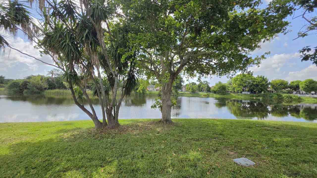 5686 Shillington Way - Photo 4 of 16