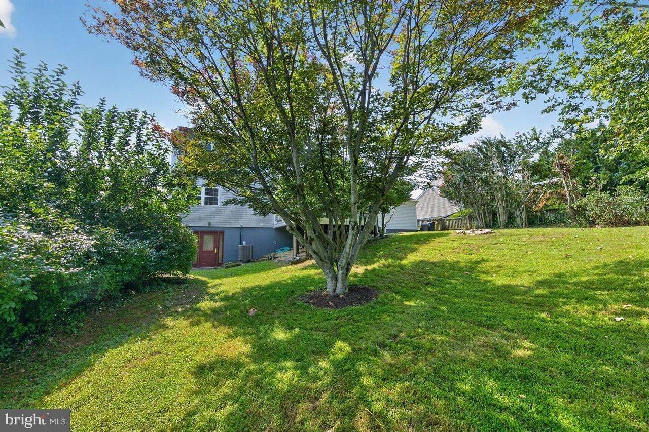 1608 Mithering Ln - Photo 4 of 35