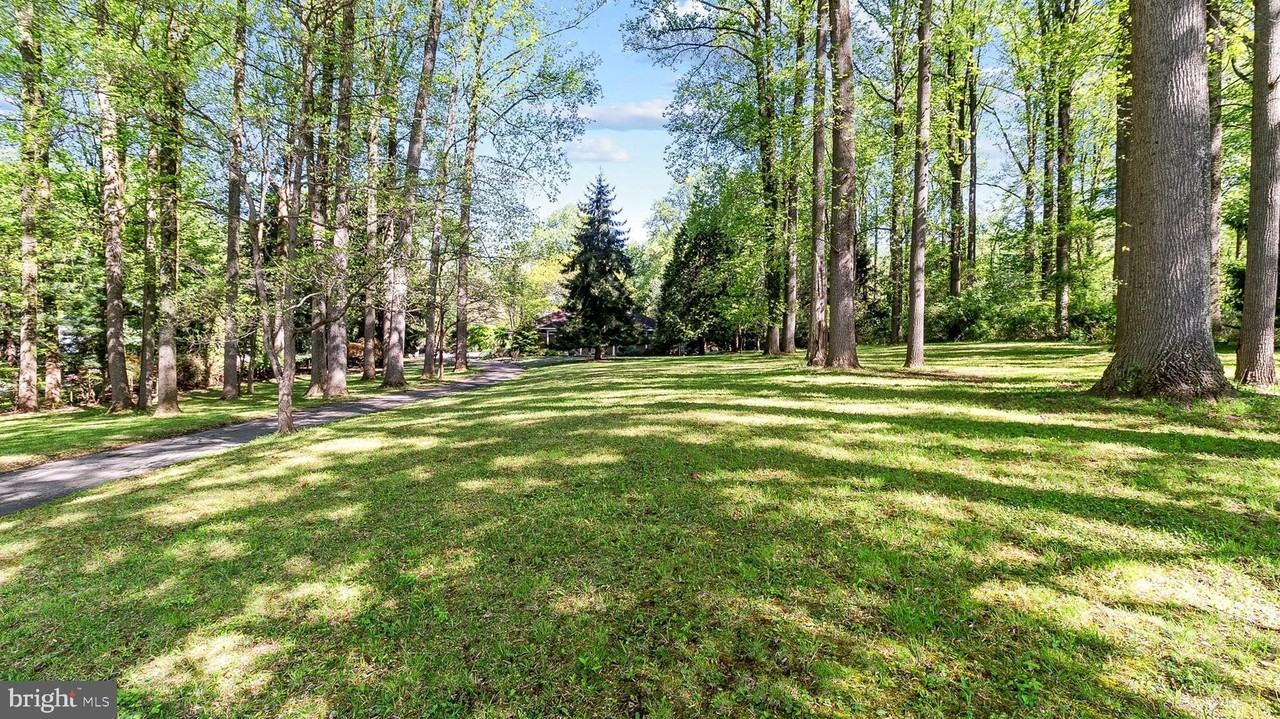 501 Webb Rd - Photo 4 of 16