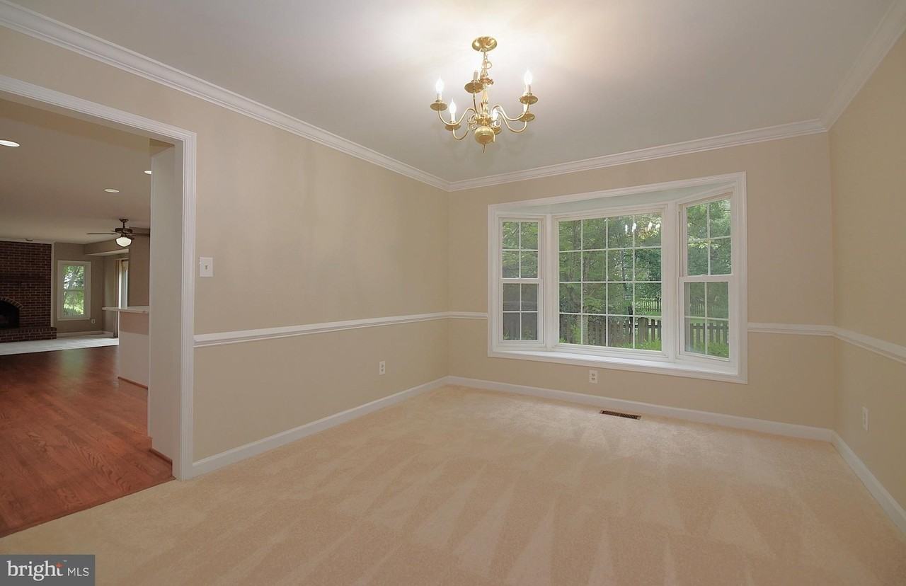 43493 Golden Meadow Cir - Photo 5 of 21