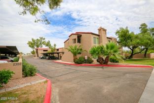 5146 5146 E Oak Street #207 - Photo 1 of 1