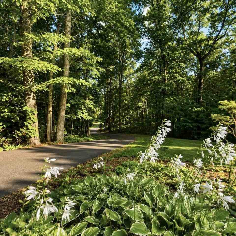 3137 Rauschenberg Rd Nw - Photo 4 of 25