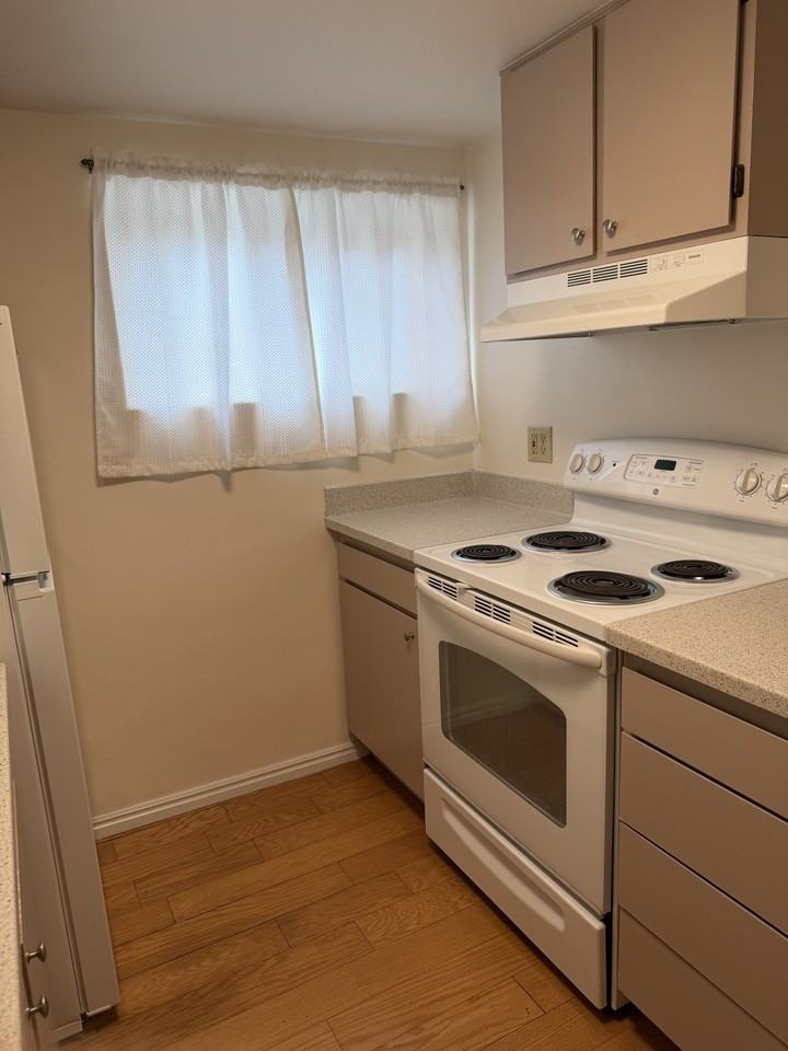 603 S Brixen Ct #1 - Photo 6 of 13