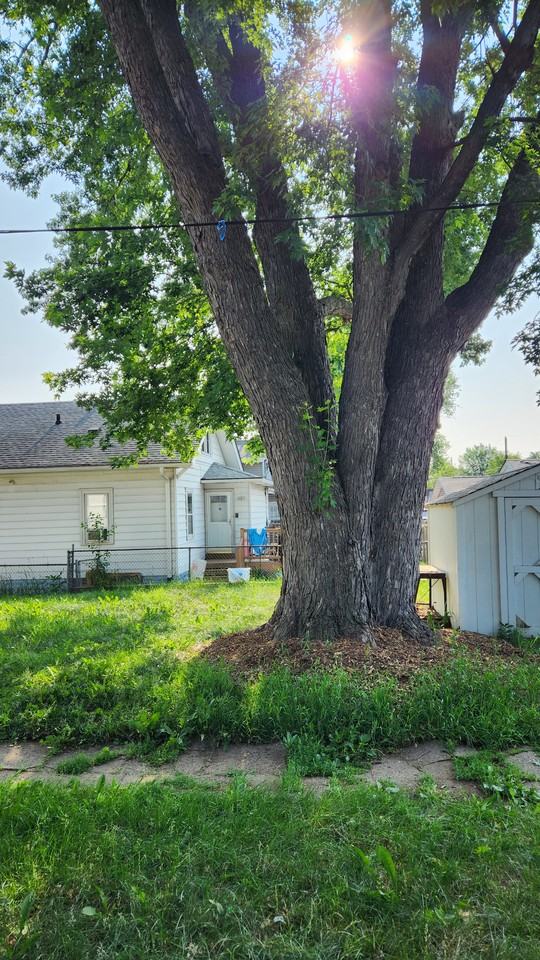 942 Rose Ave E #1 - Photo 4 of 13