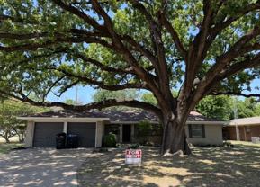 4210 Templeton St #NA - Photo 1 of 1