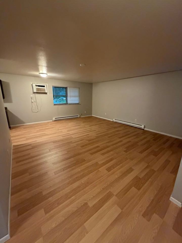 152 E. Vienna St - Photo 3 of 12