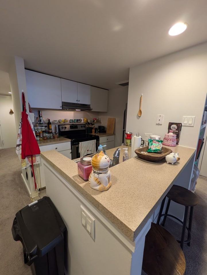 237 Chestnut St #1-215 - Photo 6 of 16