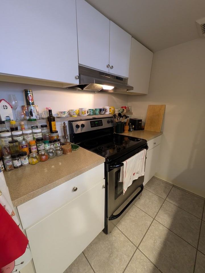 237 Chestnut St #1-215 - Photo 7 of 16