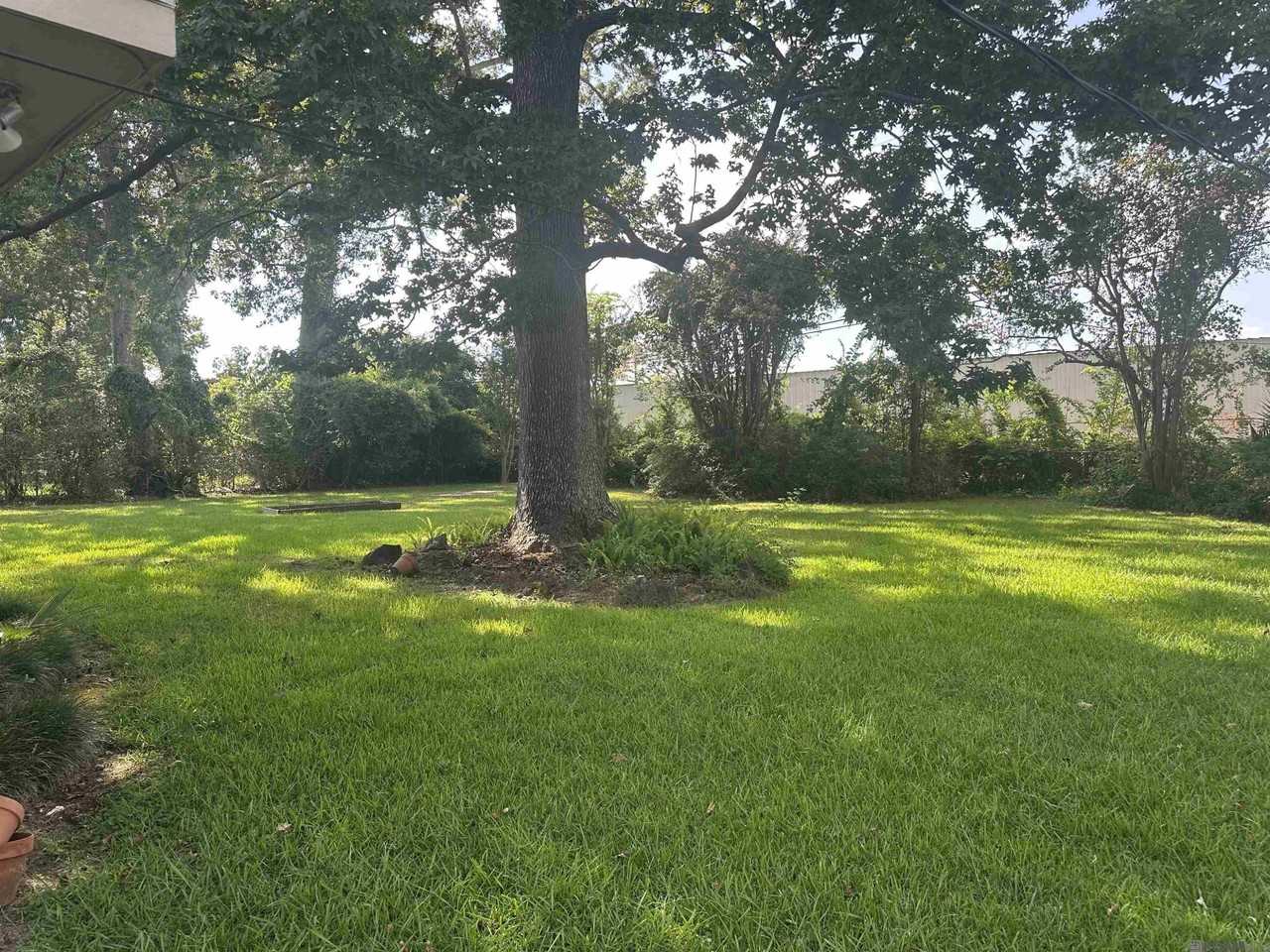 11735 Archery Dr - Photo 3 of 14