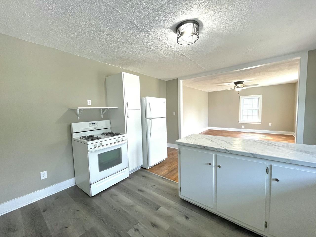 209 Dixie Dr - Photo 6 of 14