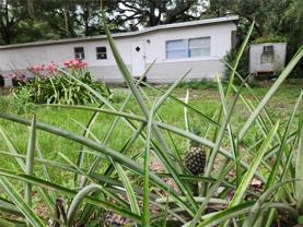 24815 Audrey Rd - Photo 1 of 1