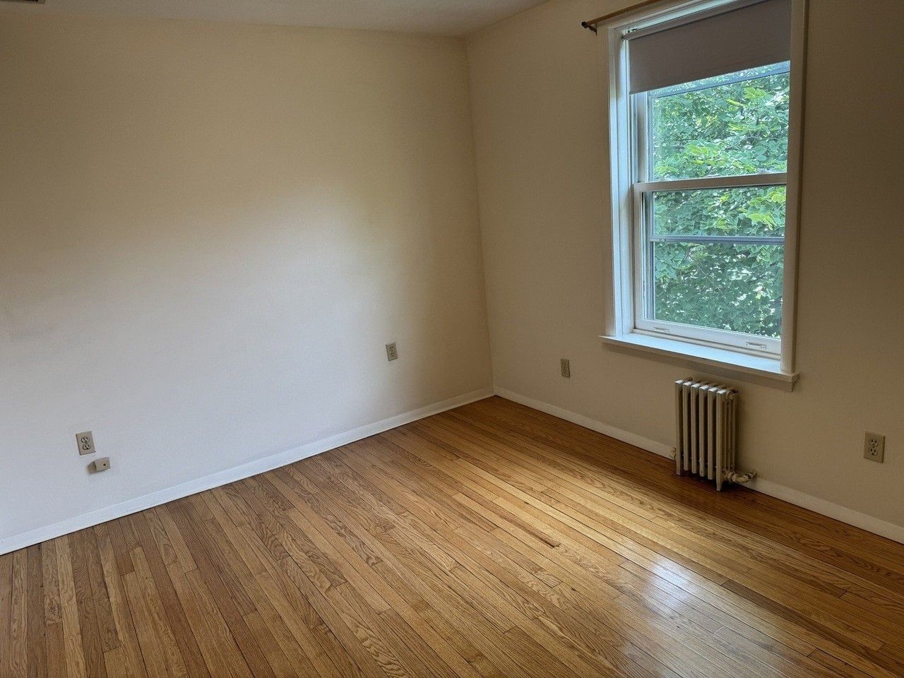 1462 Wilmette Ave #2 - Photo 7 of 11