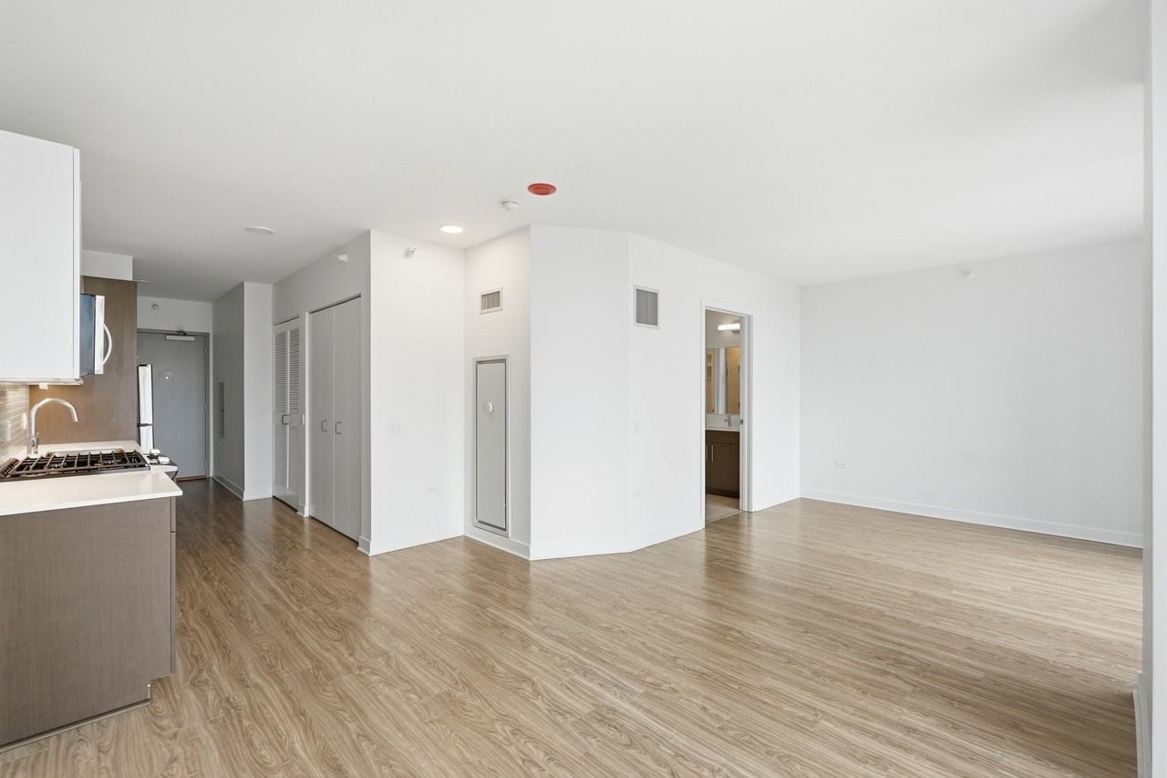 1326 S Michigan Ave - Photo 3 of 48