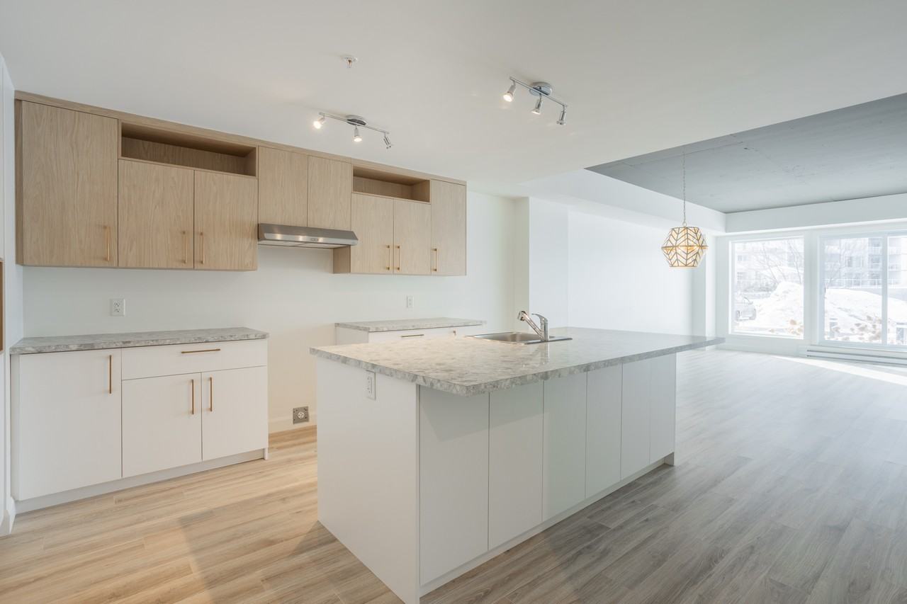 4940 Rue Lionel-Groulx — photo 1