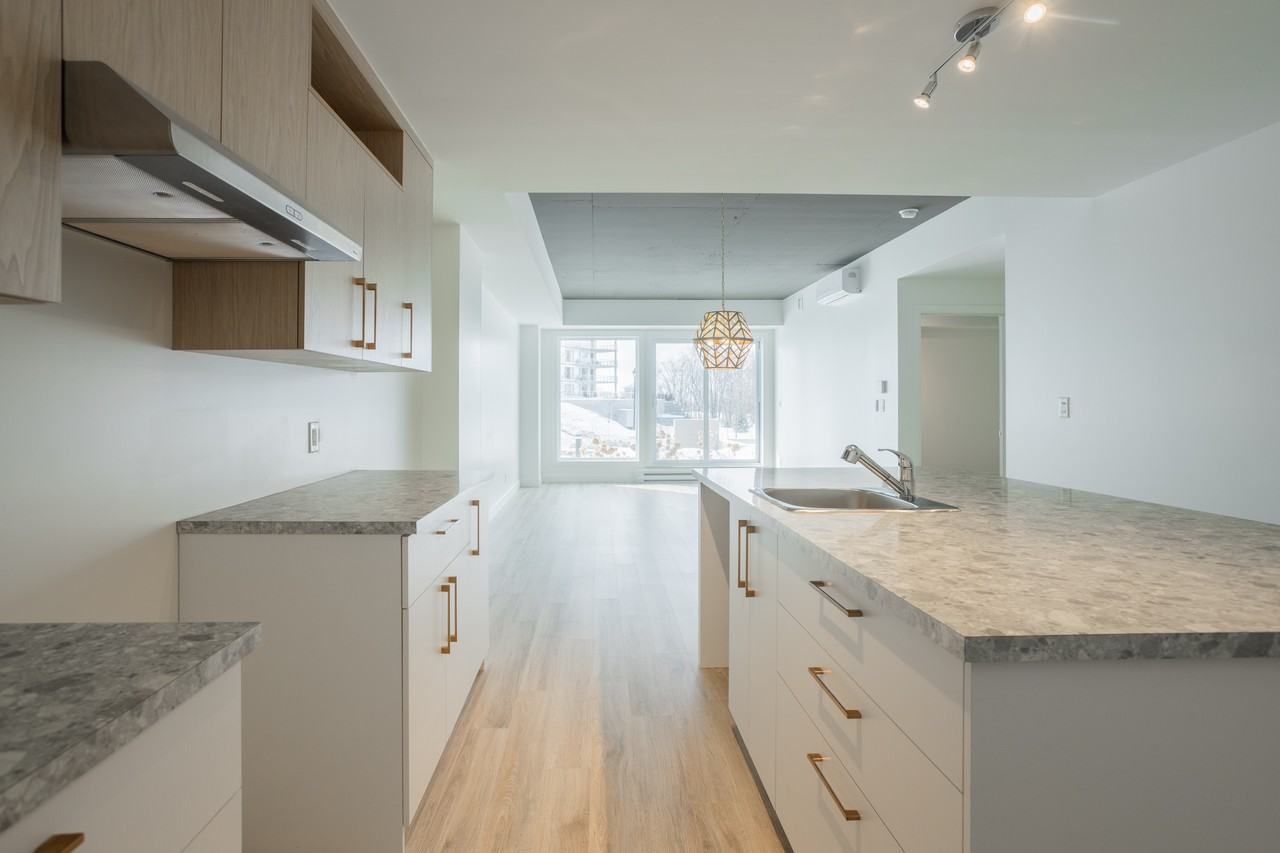 4940 Rue Lionel-Groulx — photo 2