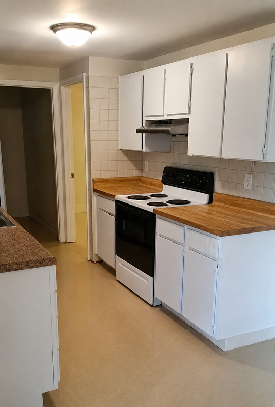 3712 Patina Dr - Photo 5 of 26