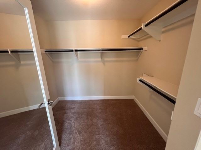 7024 Baneberry Ave #NA - Photo 7 of 13