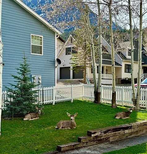 114 Spruce Ct #1 - Photo 2 of 16