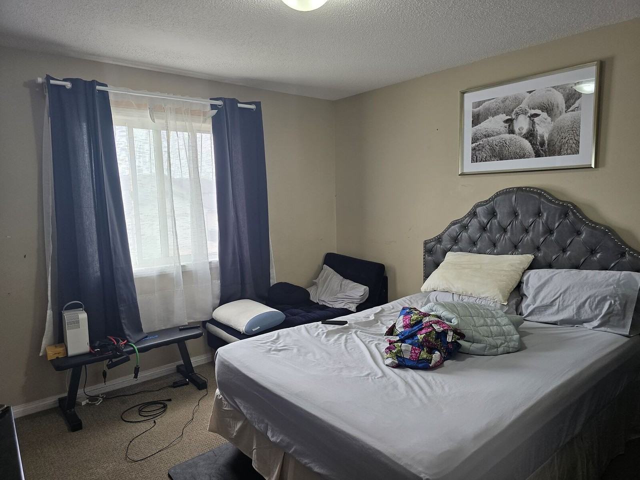 37 Martinvalley Cres Ne - Photo 6 of 10