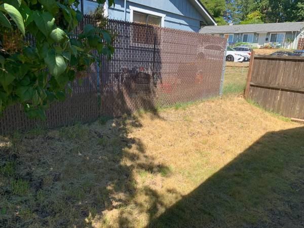3329 Ward Ave #NA - Photo 5 of 14