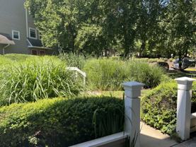 5701 Chapman Mill Dr #NA - Photo 1 of 1