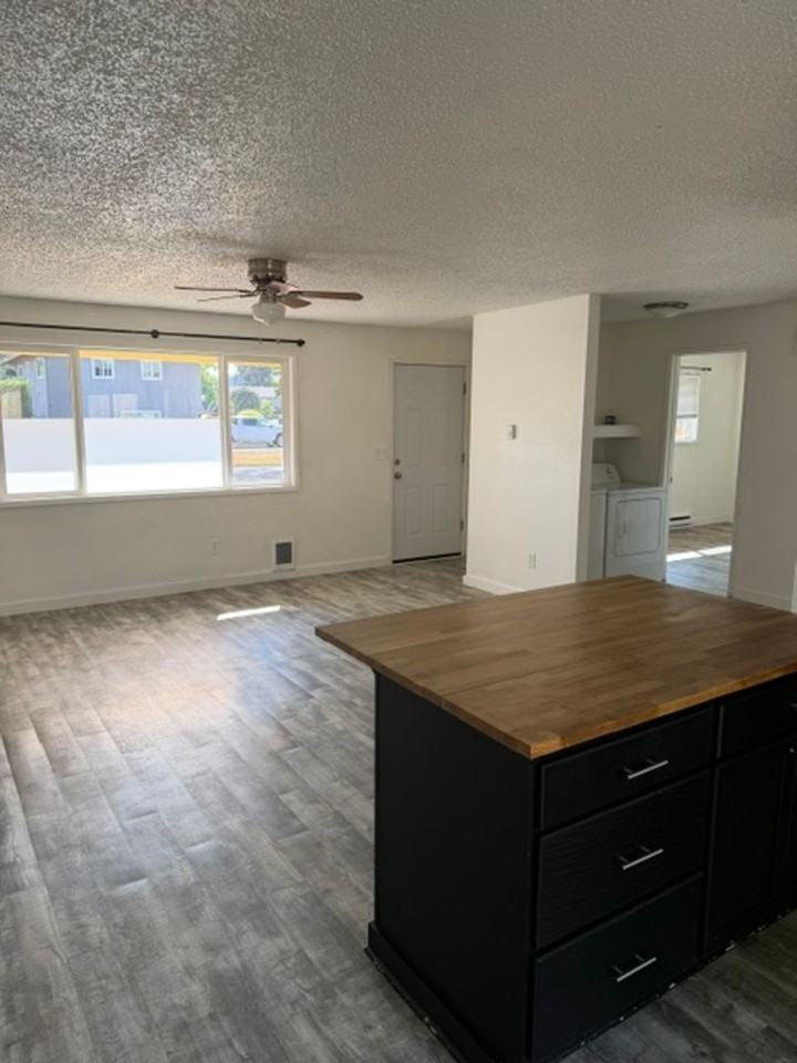 707 N Holly Dr - Photo 5 of 11
