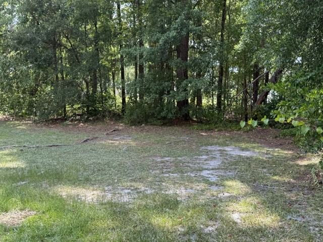 232 Pecan Dr #A - Photo 5 of 28