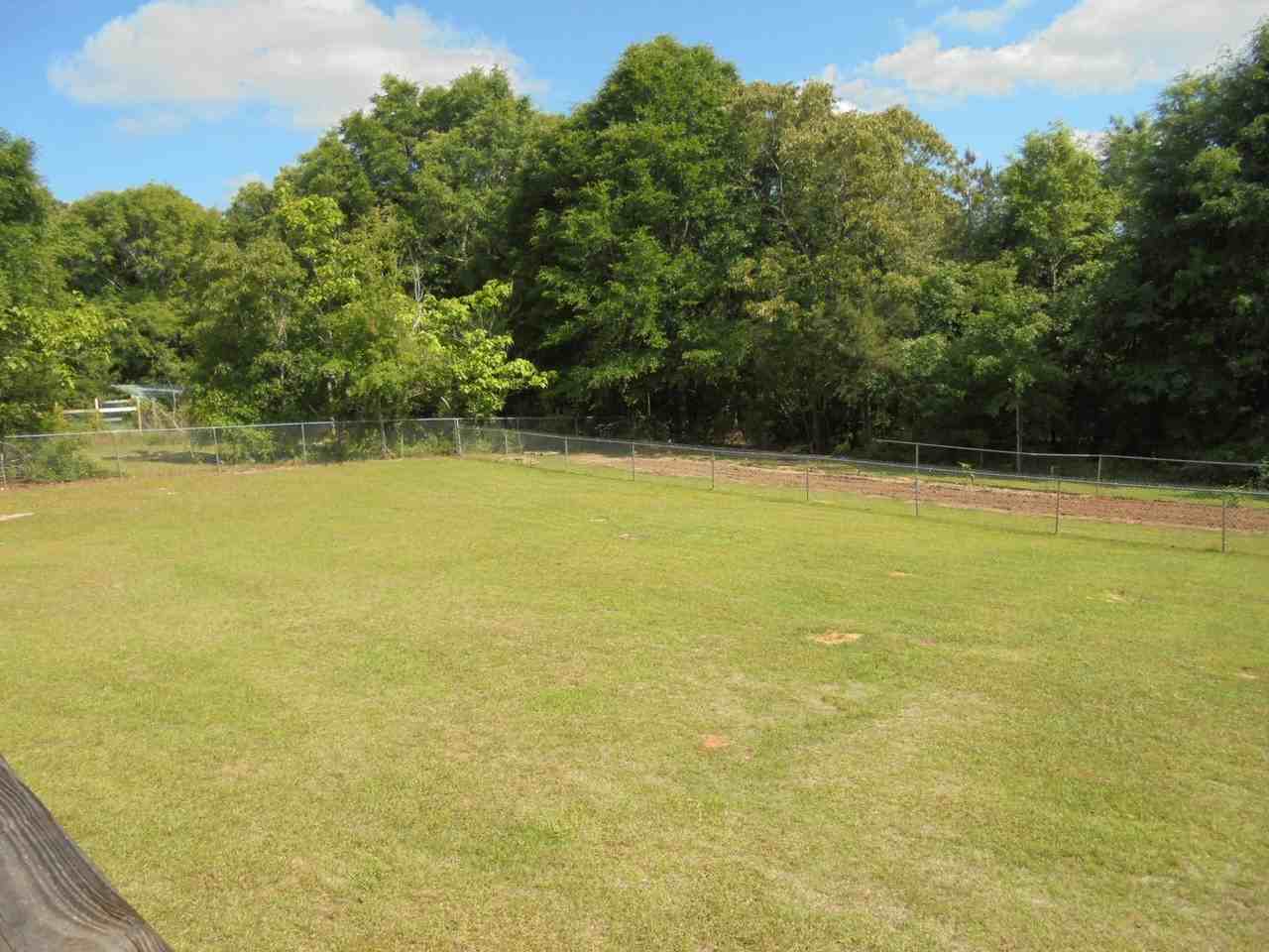 533 County Road 255 - Photo 2 of 7