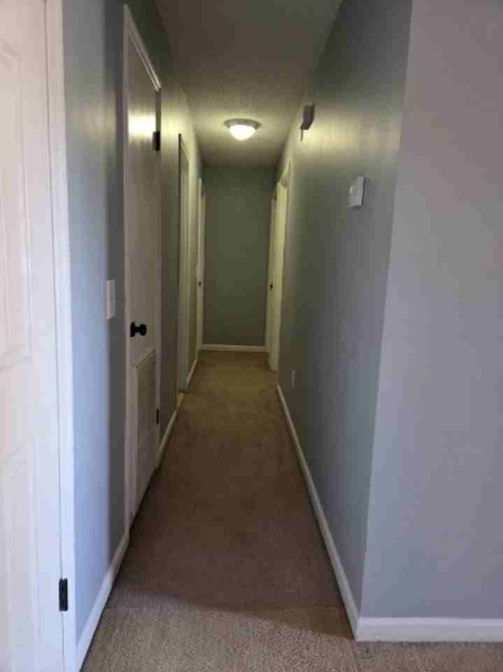 182 Sequoia Cir - Photo 4 of 17