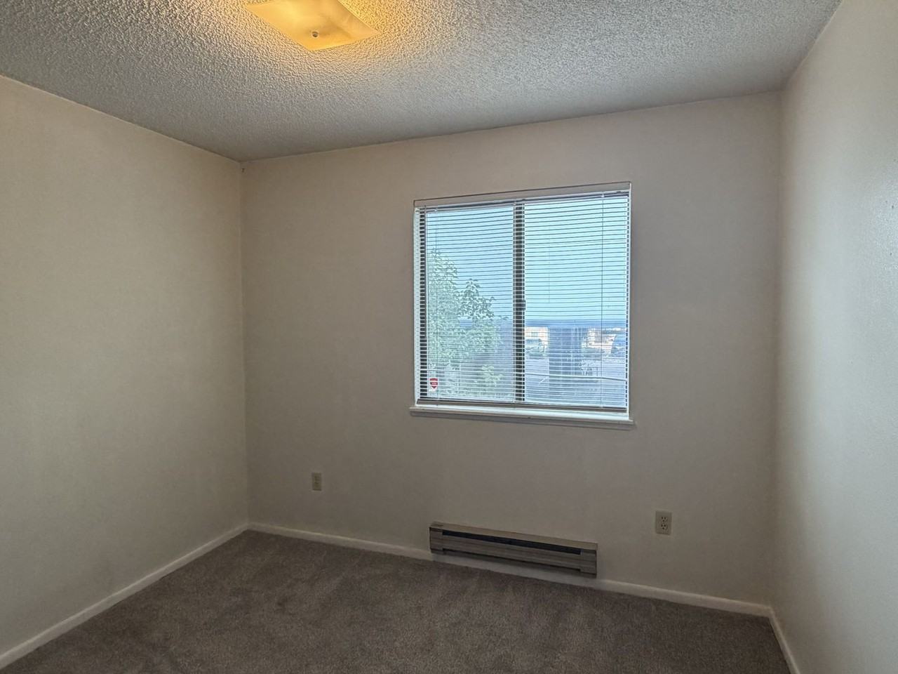1209 W Plum St Apt B6 - Photo 6 of 10