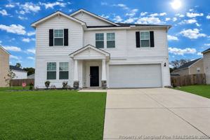 featured image of 217 Hornet Dr