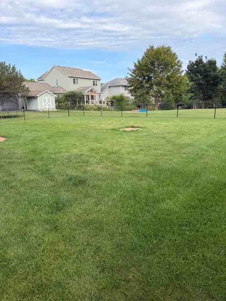 908 Firethorne Trl - Photo 4 of 25