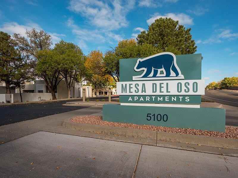 5100 Mesa Del Oso Rd Ne - Photo 3 of 26