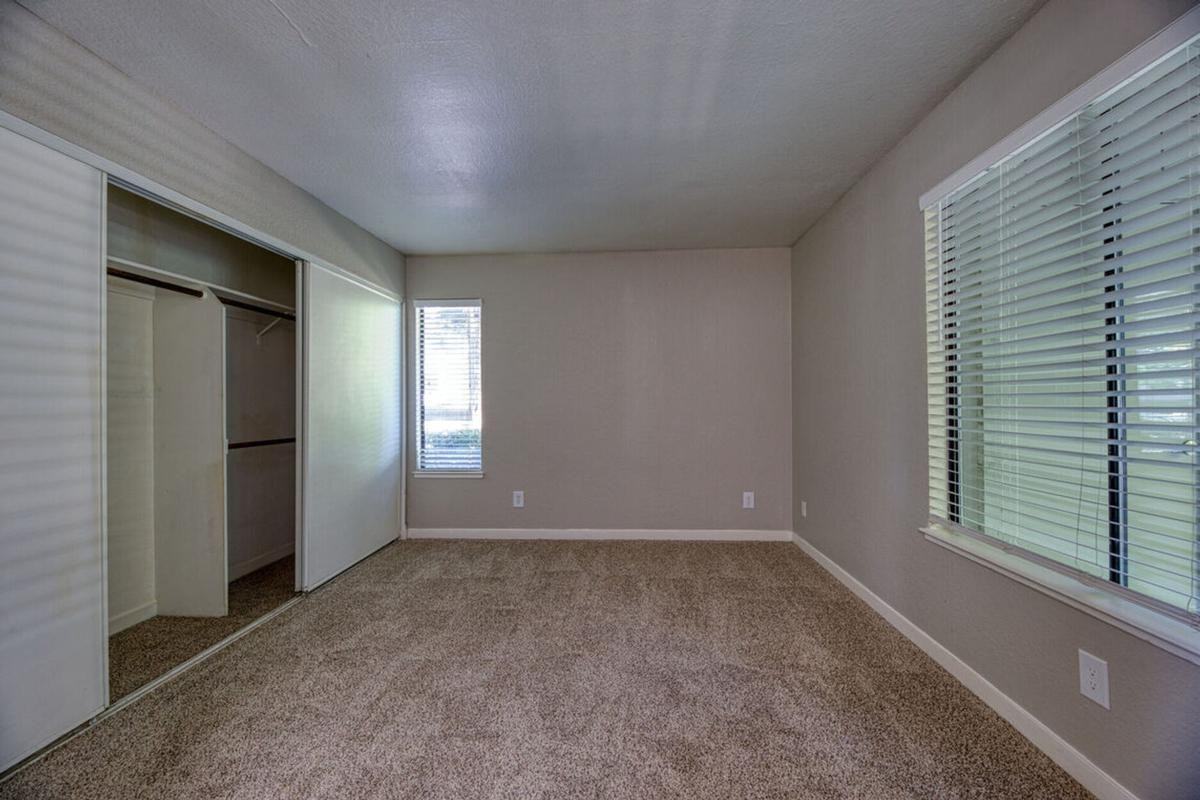 1101 N Camino Alto - Photo 3 of 44