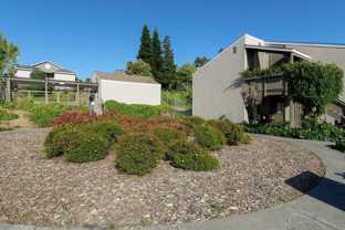1101 N Camino Alto - Photo 1 of 1