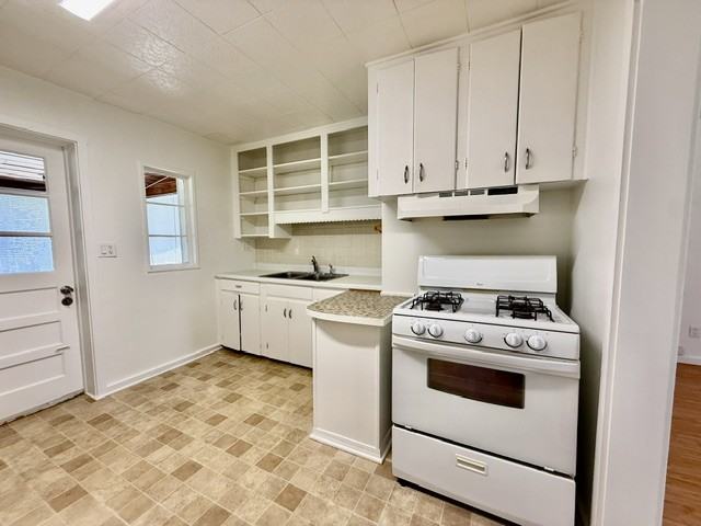733 W Pennsylvania Ave #1 - Photo 4 of 21