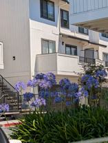 1 Frisbie St - Photo 1 of 1