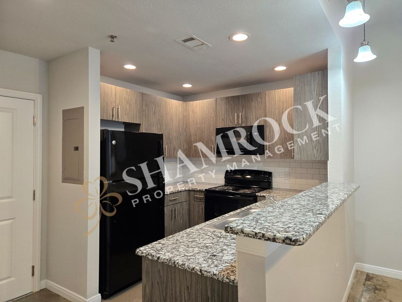 1307 Austin Ave #104 - Photo 3 of 10