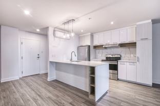 9675 Papineau - Photo 1 of 1