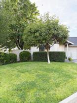 691 Spring Ln - Photo 1 of 1