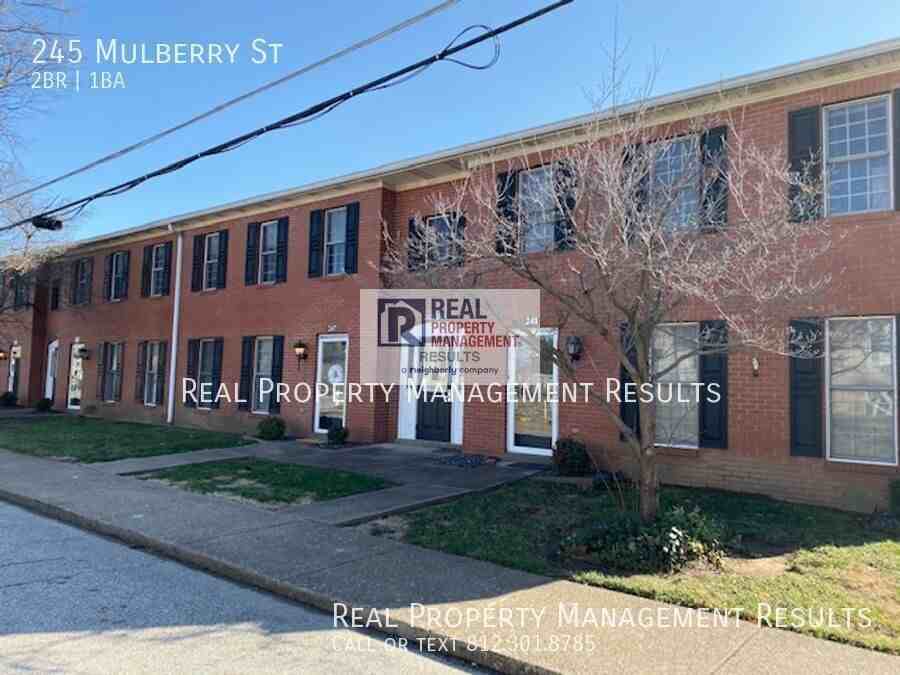 245 Mulberry St - Photo 2 of 16
