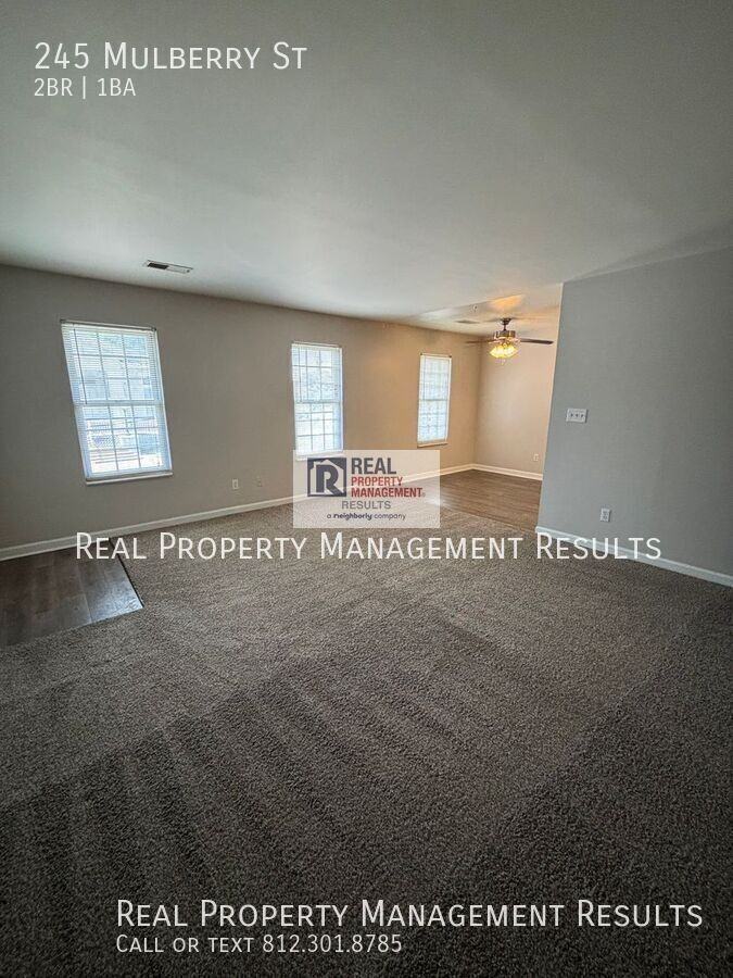 245 Mulberry St - Photo 4 of 16