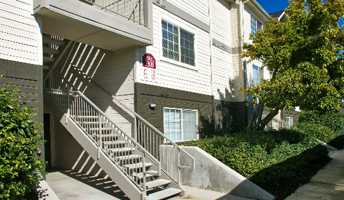 featured image of 2312 Sunnybrook Dr #102