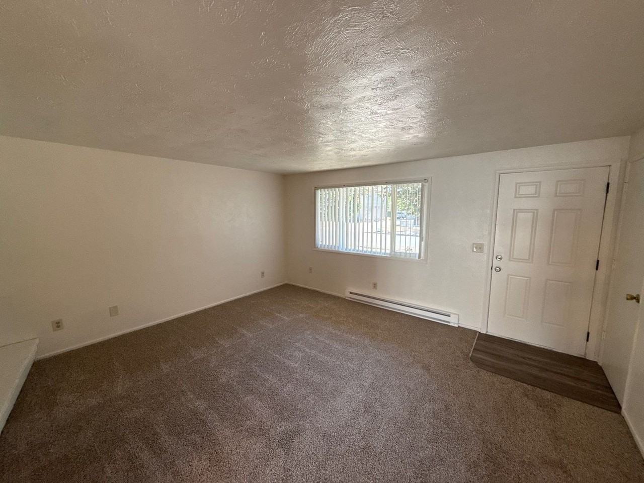 3867 Iberis St Ne - Photo 4 of 19