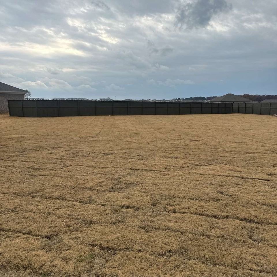 103 103 Clift Creek Drive ** Lennar new home warranty exp October 2026** - Photo 3 of 26