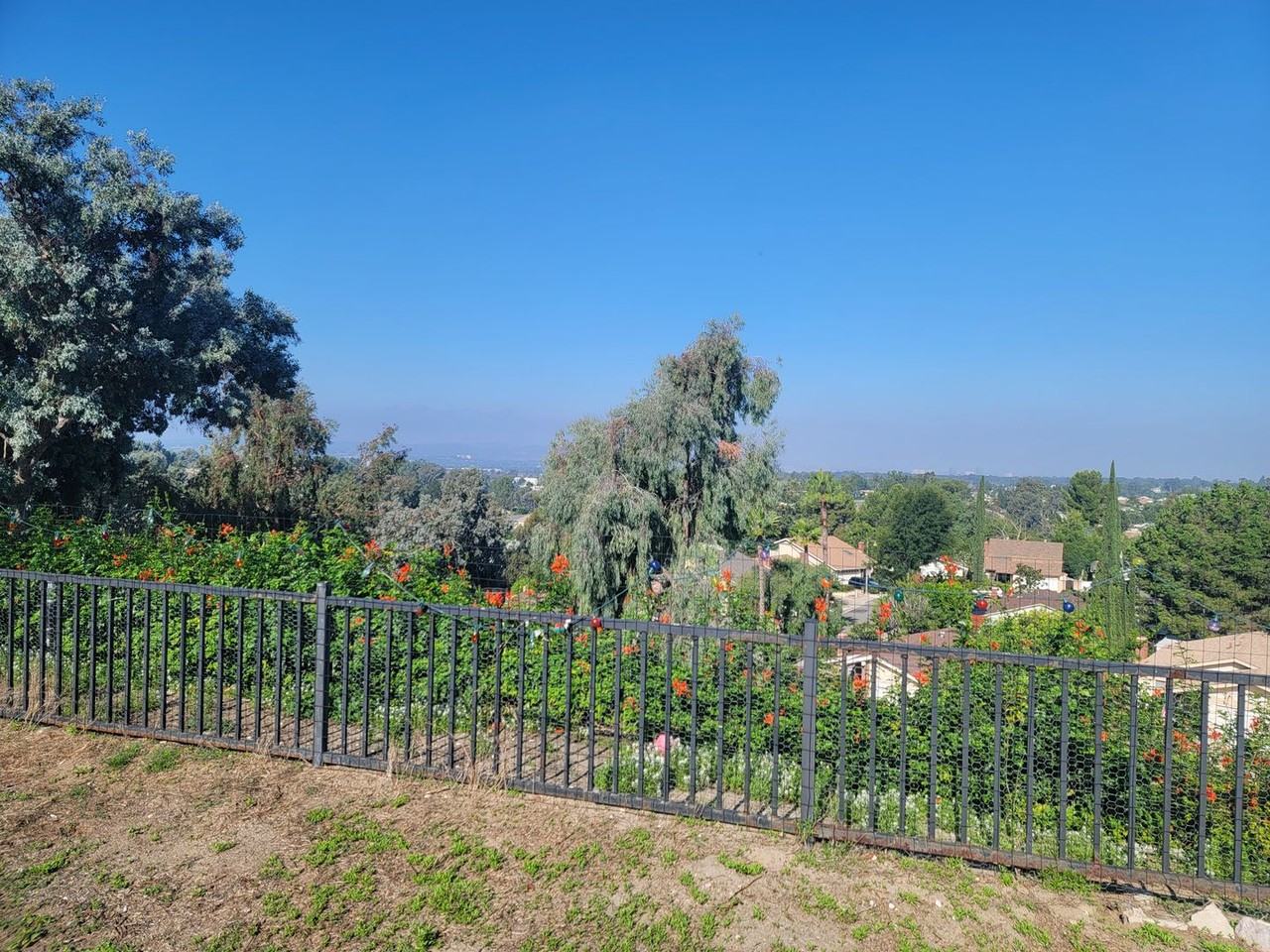 23041 Via San Gabriel - Photo 4 of 4