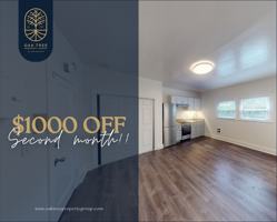 featured image of 535 41st St